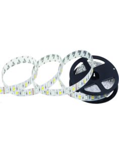 Taśma LED NEXTEC 12V/300LED/RGB+WW IP20 10mm