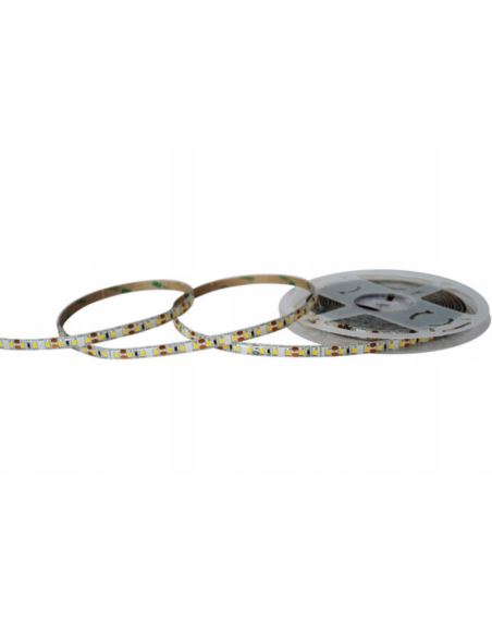 Taśma LED NEXTEC ST/12V/9,6W/120LED/IP63 6200 5m