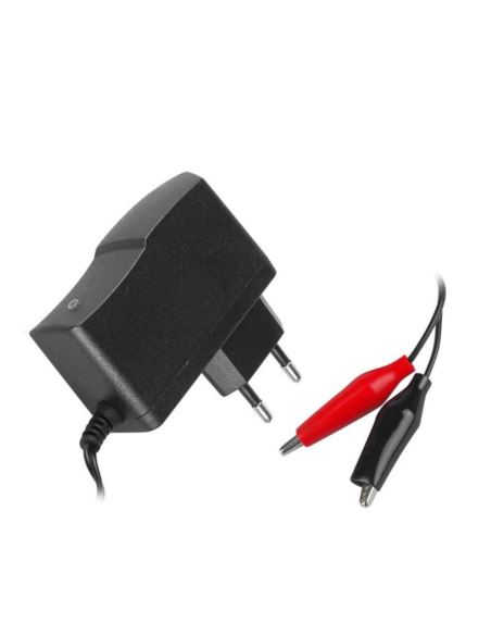 Ładowarka do akumulatorów żelowych 12V 3-9V