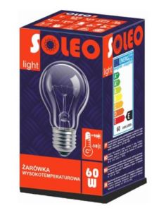 Żarówka 60W A55 E27 24V