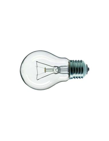 Żarówka 100W 24V E27 A55CL
