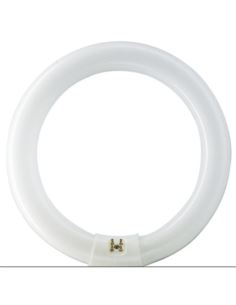 Świetlówka kołowa G10q 32W 840 4000K 32W/840 TLE