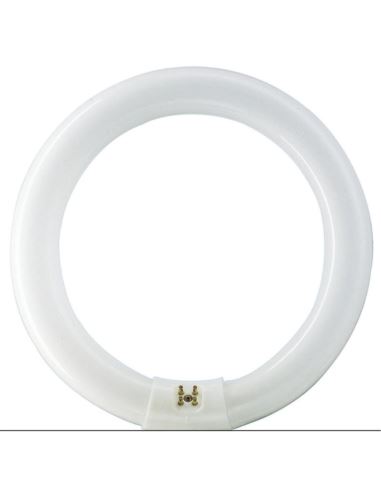 Świetlówka kołowa G10q 32W 840 4000K 32W/840 TLE