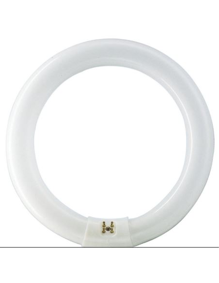 Świetlówka kołowa G10q 32W 840 4000K 32W/840 TLE