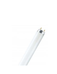 Świetlówka TLD 40W/05 liniowa owadobójcza G13 UV-A