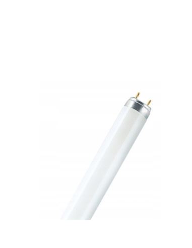 Świetlówka TLD 40W/05 liniowa owadobójcza G13 UV-A