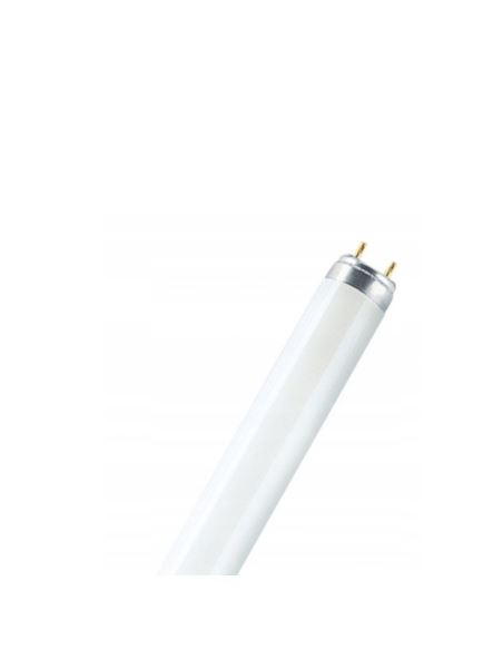 Świetlówka TLD 40W/05 liniowa owadobójcza G13 UV-A