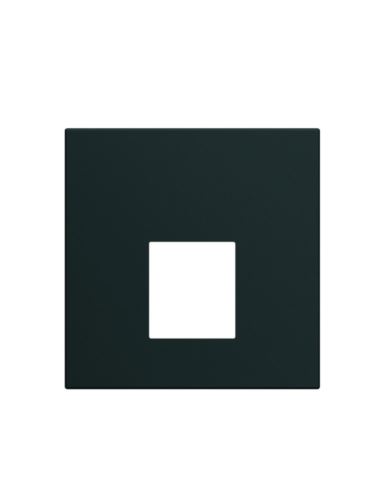 GALLERY płytka czołowa poj. do gniazd RJ45,VDI